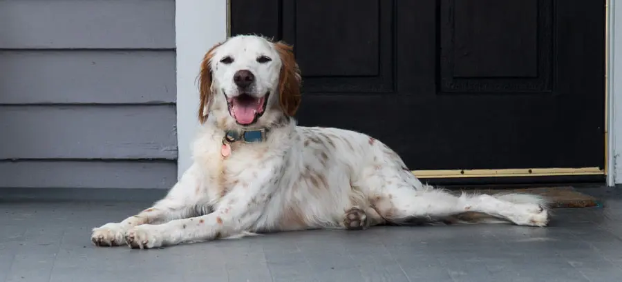 Application Total Connect